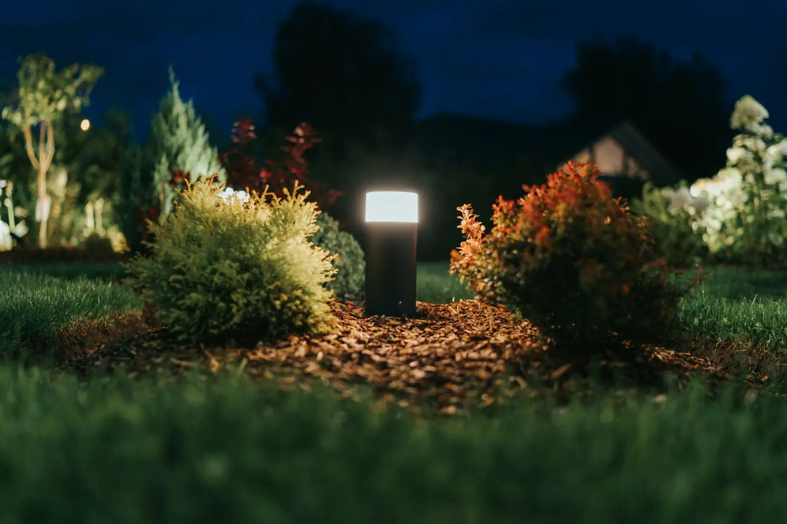 Pollerleuchte, die bei Nacht Sträucher in einem Garten beleuchtet