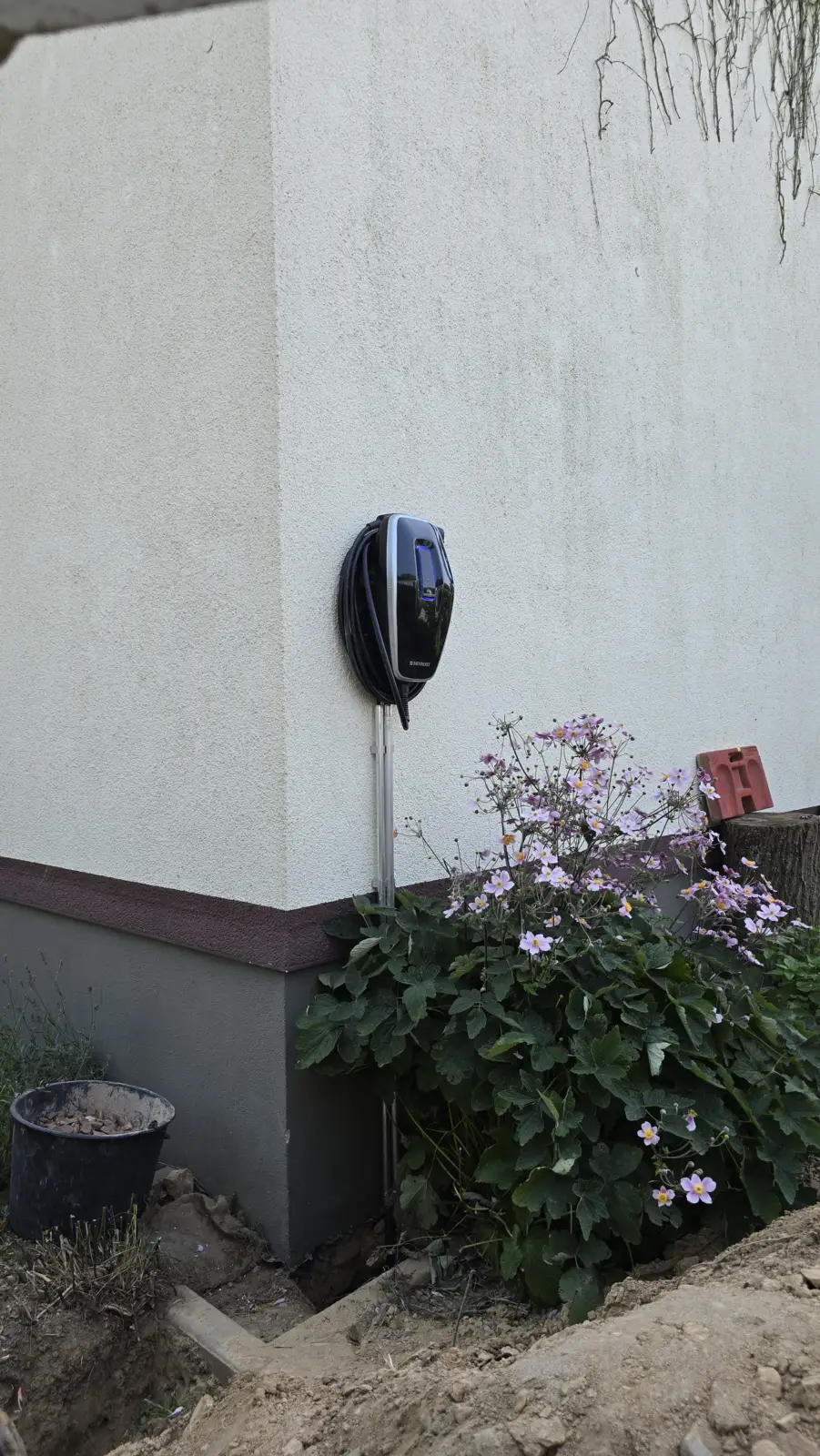 Schwarze Wallbox an einer Hauswand im Außenbereich, davor ein blühendes Beet